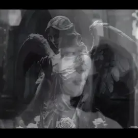 فيديو تلسيكي @🌙⋆˙⟡✮ 𝖒𝖎𝖗𝖐𝖔 ✮⟡˙⋆ #فولوو #اكسبلورexplore #Sing_Oldies #فؤاد_سالم #اكسبلورexplore 