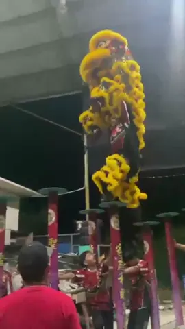 #xyzbca #shengfengtambunan #hongteckliondance #fypp 