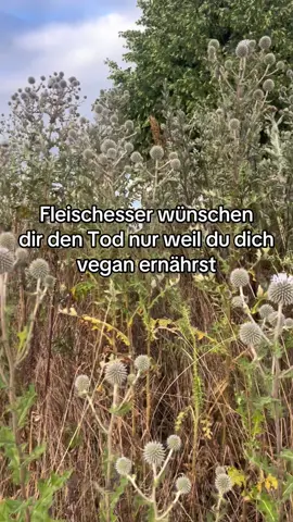 sagt eigentlich schon alles über deren Persönlichkeit aus