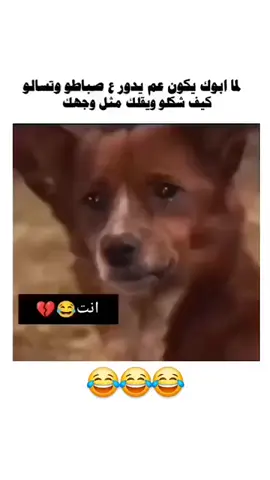 #مالي_خلق_احط_هاشتاقات🧢 #الشعب_الصيني_ماله_حل😂 #متابعة_ليصلڪ_كل_جديد #مالي_خلق_احط_هاشتاقات🦦 #لايك_متابعه_اكسبلور 