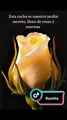 Esta racha es nuestro jardín secreto, lleno de rosas y sonrisas #racha #laracha #frasesparalaracha #Rachita🔥 #rachas 