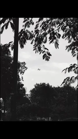 Solifican12🔥 #miloj 