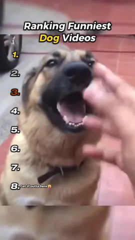 Funniest Dog Fails You HAVE to See 😭💀#forupage #viral #clips #funnytiktok #fyp 