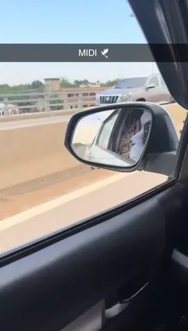 #tchadien🇹🇩tiktok #tchadienne🇹🇩 #soudanaise🇸🇩🖤🔥 #toroboro💪🏿💪🏿💪🏿🇹🇩🇸🇩 #liyce 