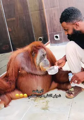 #سودانيز_تيك_توك_مشاهير_السودان #سودانيز_تيك_توك_مشاهير_السودان🇸🇩 #جنوب_السودان_القلب🇸🇩🤝🇸🇸 