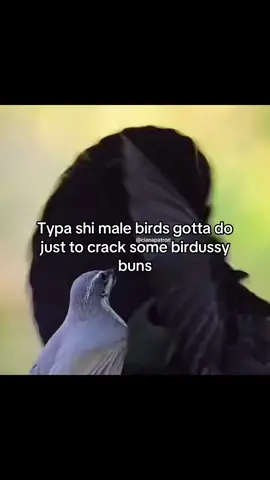 Yes woodpecker keep goin twin🔥