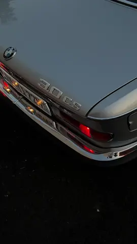 🩶 #dilarae36 #e9 #e930cs #nürnberg #cartok 