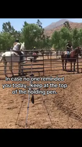 Even at barrel races during the week…stay up at the top of the wings 🖤 #barrelhorses #barrelracer #barrelracertok #barrelracing 
