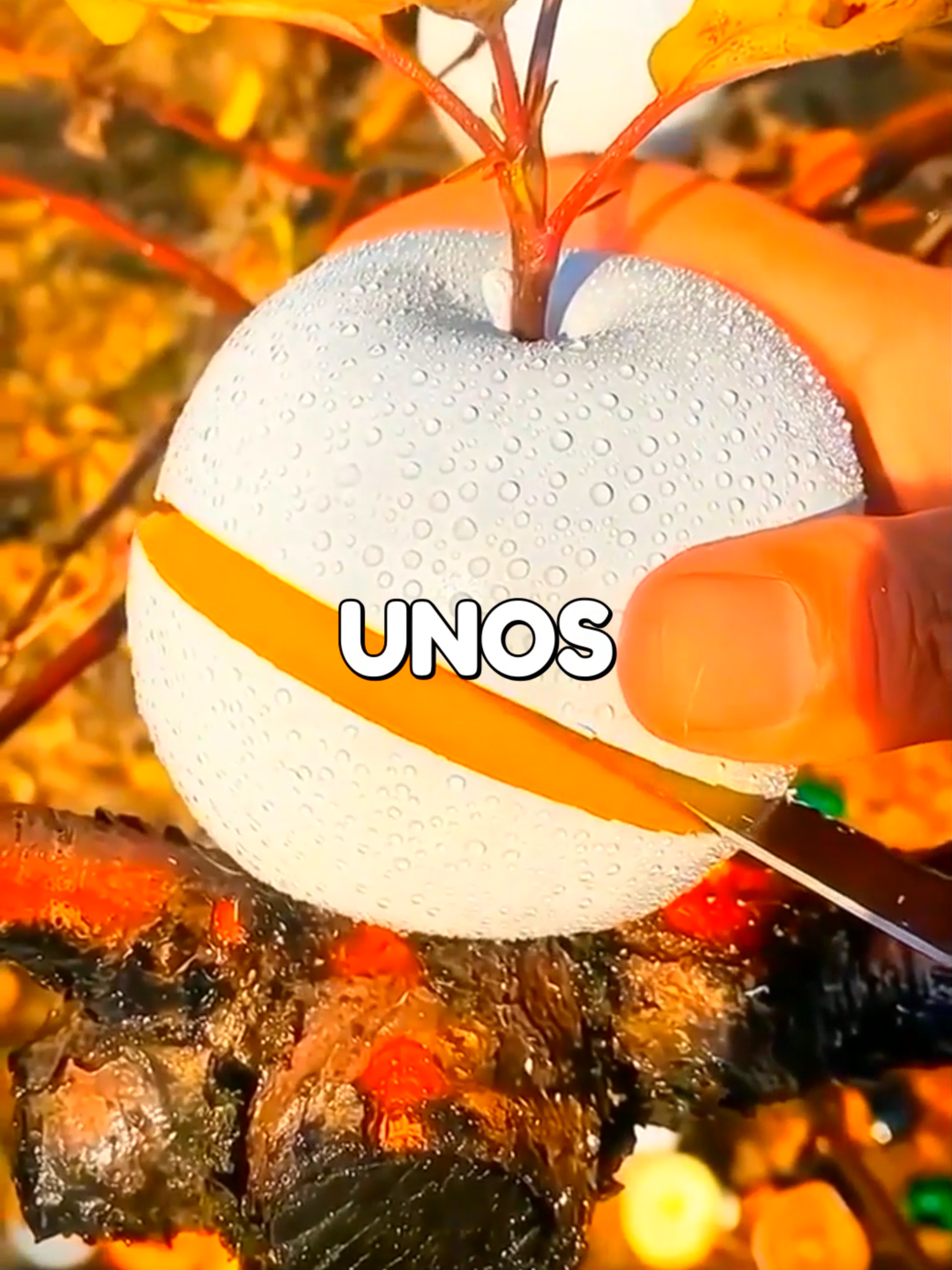 🔴 ¡Atención! La HISTORIA COMPLETA te espera. Búscala como PerryReddit en YouTube🔴 MI ESPOSA ME QUITÓ TODO EN EL DIVORCIO HASTA QUE REVELÉ LA VERDAD