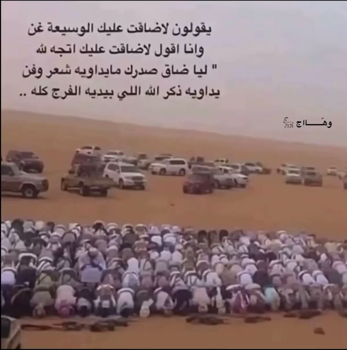 #اكسبلورexplore #اكسبلور #قصيده #ماشاءالله 