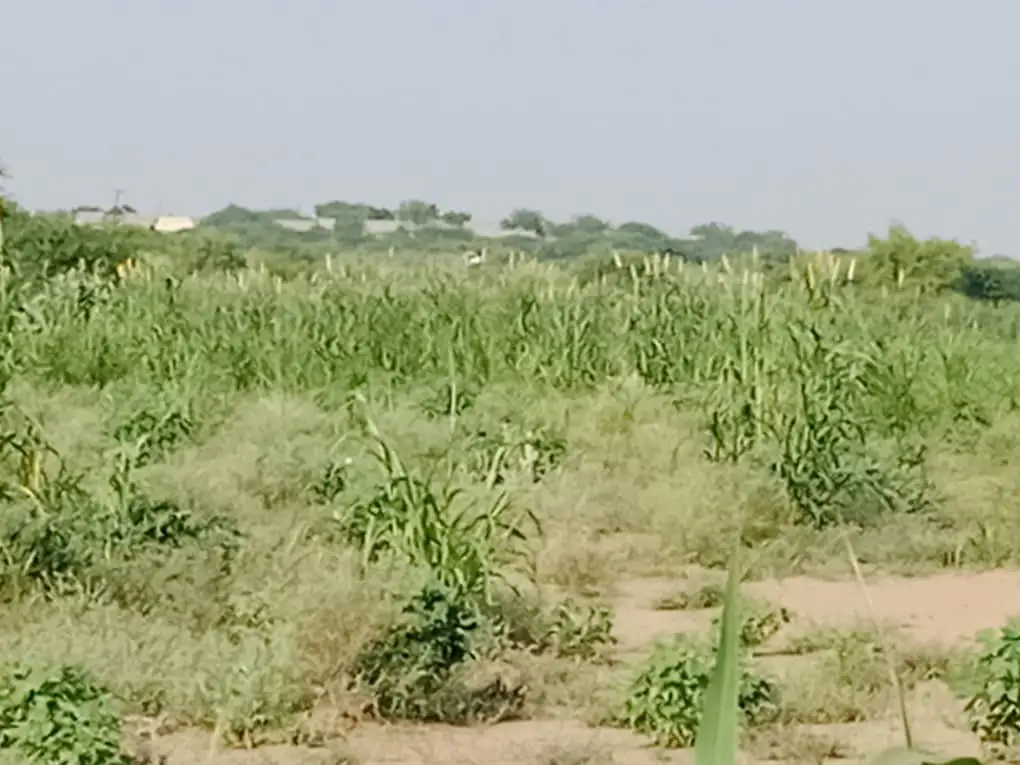 #الكسبروار_متابعه_فول #اكسبلورexplore #اللهم_صل_وسلم_على_نبينا_محمد #اكسبلورexplore #استغفروا_ربكم_انه_كان_غفارا 