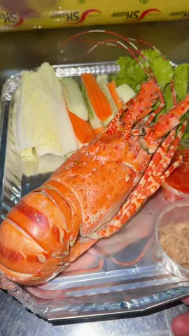 បង្កងនាគខ្នាតធំហុយទឹកដូង🦞