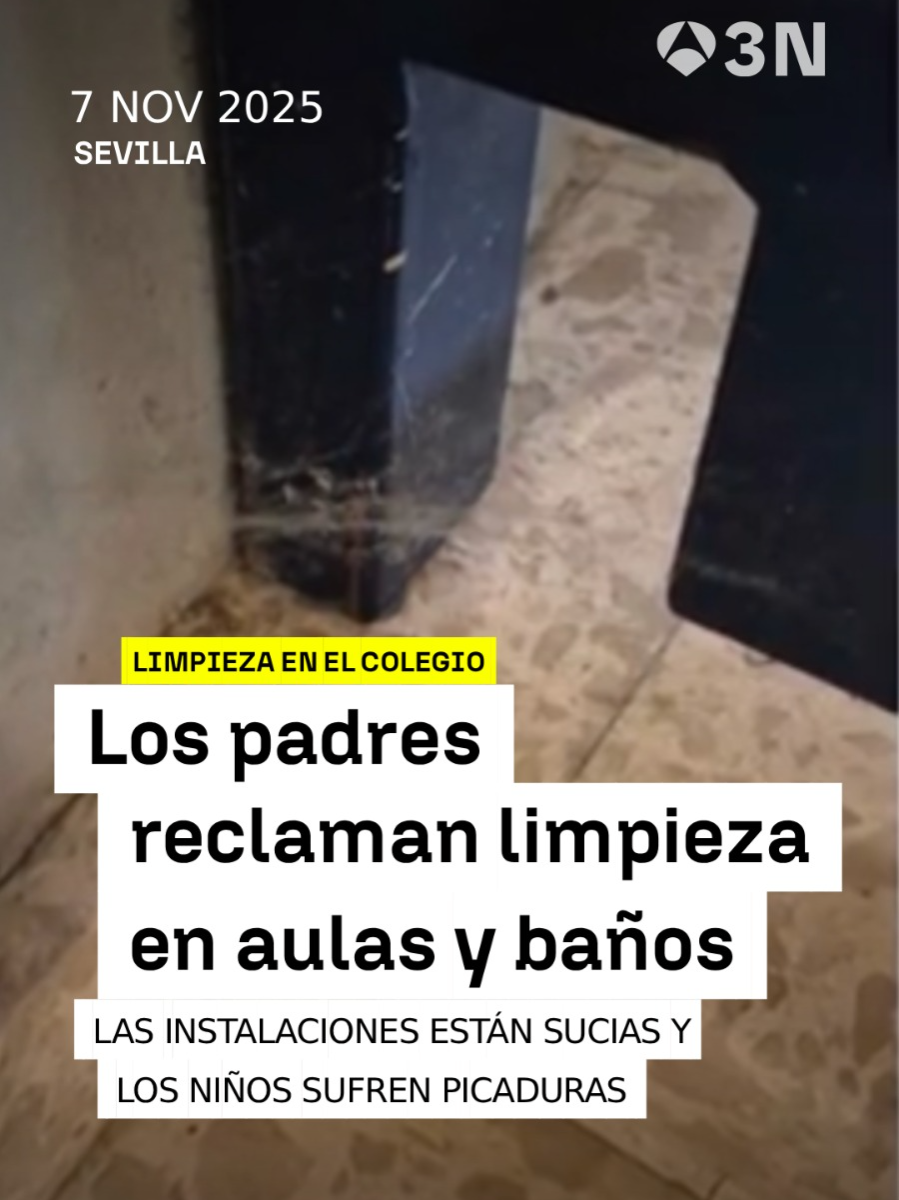 🔴 Insectos, telarañas, polvo y pelusas: los padres de un colegio de Sevilla alertan de la falta de higiene ‼️ Las familias denuncian acumulación de suciedad, ausencia de mantenimiento e insuficiencia de operarios de limpieza. 📲 Todos los detalles en antena3noticias.com  #Antena3Noticias #Noticias #News