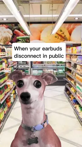 #Meme #MemeCut #CapCut #Viral #Music 