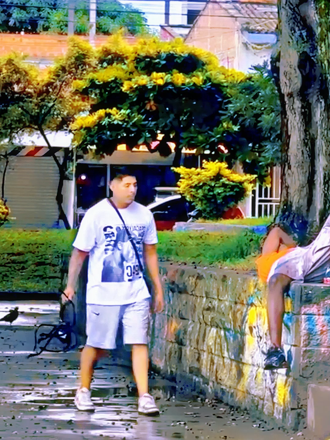 The playful spider #funny #funnyvideos #funnymoments #funnyprank #comedy