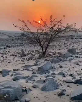 قصايد #شيلات #خواطر #شعر #اكسبلورexplore #فولو 