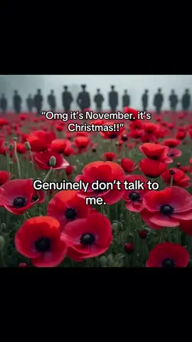 Lest we forget. ❤️#rememberanceday #lestweforget #soldierboy #ww2 #ww1 