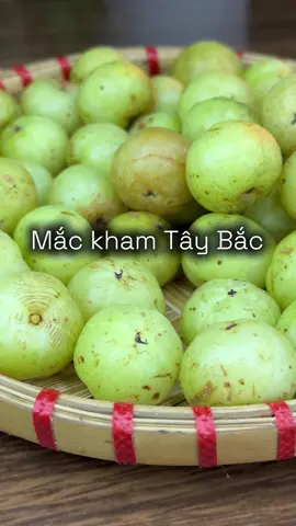 Mắc kham Tây Bắc ăn ngon lắm ấy, vừa chát vừa chua cơ mà lại ngọt ạ #melinhvacherry #mackhamtaybac 