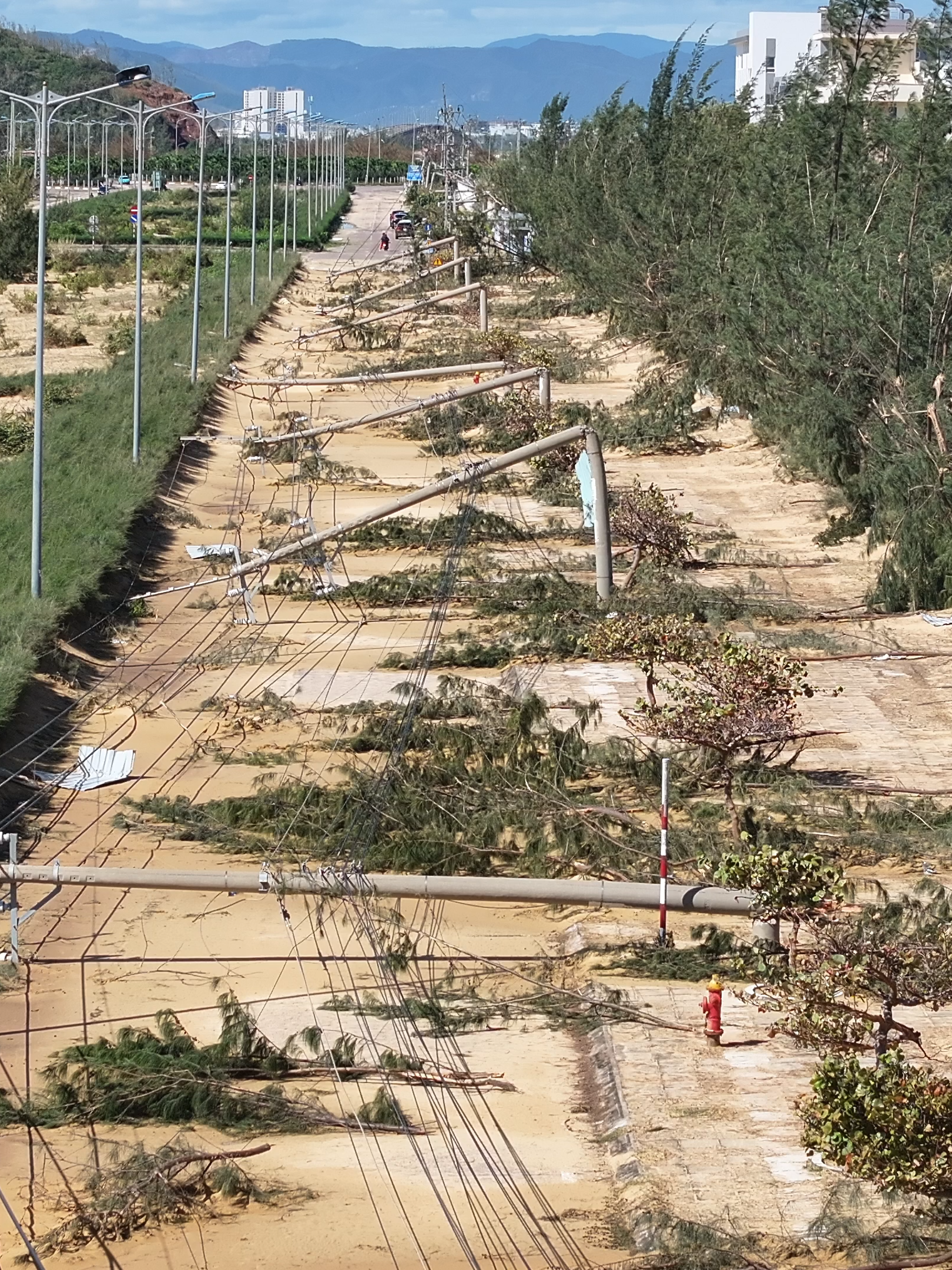 Tình hình bão lũ ở Quy Nhơn... Trụ điện gãy đổ hàng loạt ở KKT Nhơn Hội #baoso13 #baoquynhon #phuongquynhon