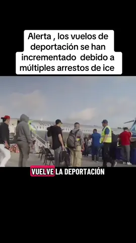 Las deportaciones han incrementado #paratii #usa🇺🇸 #latinos #vuelos #fiiiiiiiiiiiiiiiiiiiiiiiiiiiiiiiiiiiiip 