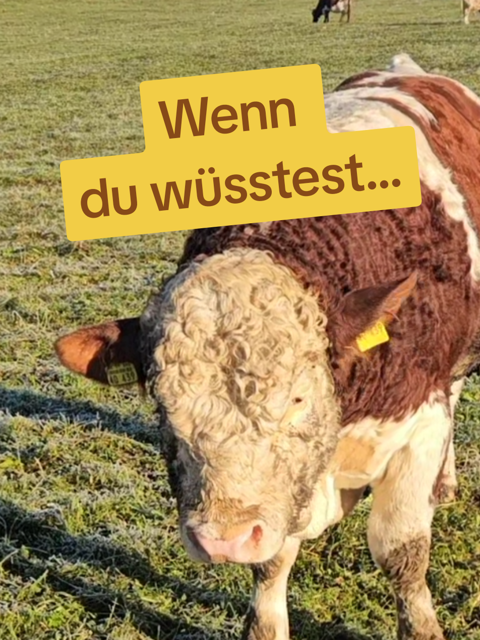 Wenn die Menschen wüssten, wie stark sie wirklich sind, dann wäre die Welt ein besserer Ort. #Menschen #Wahrheit #Bewusstsein #stärke #frei 