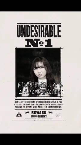 めちゃくちゃ楽しかった