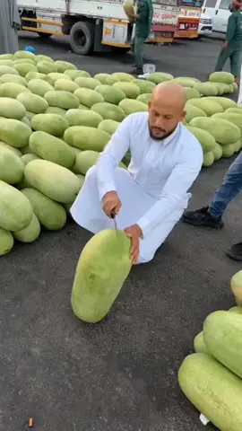 penjual semangka yang amanah #arabsaudi #fypage 