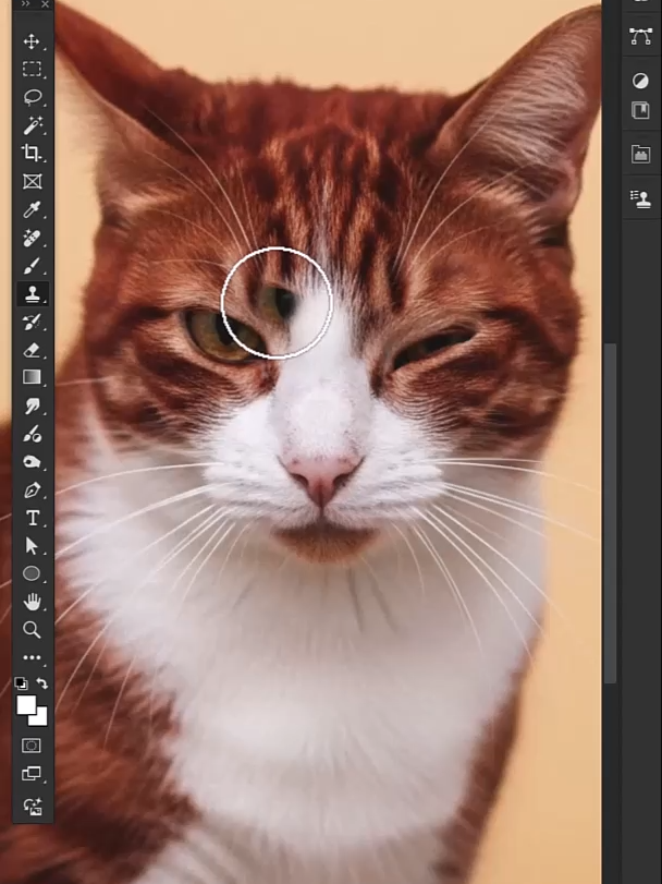 Adobe Photoshop Tips and Tricks for beginners