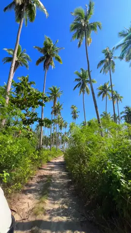 𝗦𝗶𝗮𝗿𝗴𝗮𝗼❌ 𝗦𝗶𝗾𝘂𝗶𝗷𝗼𝗿❌ 𝗕𝗼𝗵𝗼𝗹 ✅ 𝘎𝘢𝘯𝘥𝘢 𝘮𝘰 𝘗𝘢𝘯𝘨𝘭𝘢𝘰, 𝘉𝘰𝘩𝘰𝘭🌴✨ @Deyb  #panglao #bohol #beholdbohol 