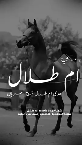 شيلة ام طلال 2025 شيلة مدح باسم ام طلال شيلة باسم ام طلال 2025شيله مدح ام طلال وبناتها شيخة العربان #شيلات_مدح_شيلات_تباريك_شيلات_زواج #السعودية_الكويت_الإمارات_قطر #شيلات_روعه_خواطر_ذوق #fyppppppppppppppppppppppp #الامارات_السعوديه_الكويت_البحرين_عمان 