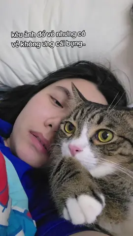 câu chiện em mèo cam #mèo #cat #giadinhnhadau