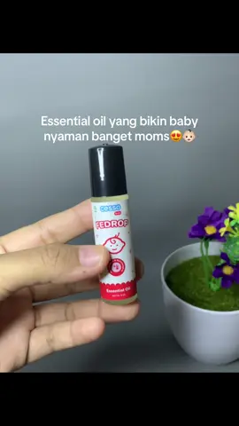 Kandungannya lembut banget, aman buat bayi mulai usia 3 bulan, dan bantu redain hidung tersumbat, batuk ringan, bahkan bantu bayi tidur lebih nyenyak 💤 ✨ Tips: cukup 1–2 tetes di dada, punggung, atau baju — jangan terlalu banyak biar aromanya tetap lembut. #CessaFeDrop #EssentialOilBayi #BabyCare #MomLife #TipsBayi 🛒 Klik keranjang kuning buat liat detail produknya, moms 🌼