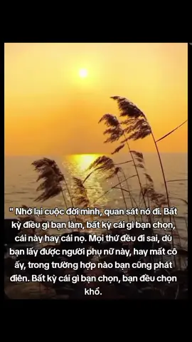 Cuộc đời vô lựa chọn. 