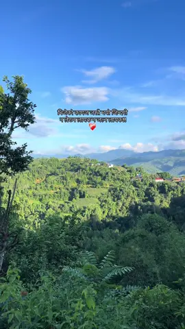 भिजेको कागज जस्तै भयो जिन्दगी   न लेख्न लायक न जल्न लायक!! ❤️‍🩹#foryoupage #arghakhanchi_muser #fyp #sujan 