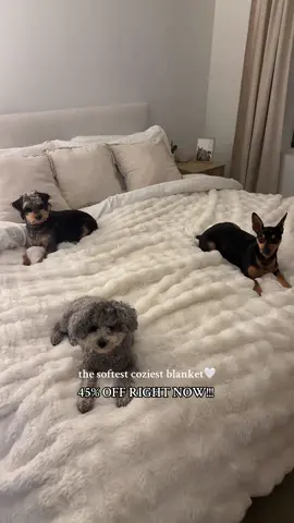 the perfect gift for the holidays! Get it while it’s on sale!! 