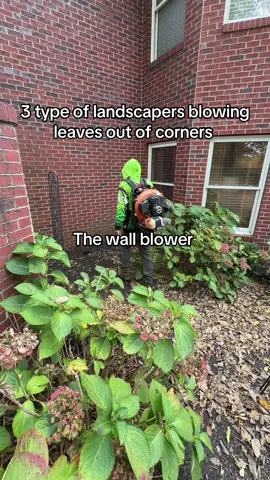 Which are you #lawncare #a1lawnscapes #fyp 