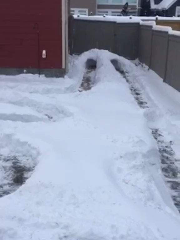 #fyp #foryoupage #viral #trending #tiktok