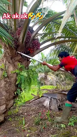 #tkimalaysia🇲🇾🇮🇩  #real  #fypシ゚viral🖤tiktok 