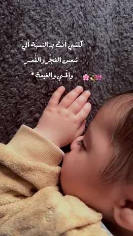 كلشْـي أنـتَ بـ النسبـةِ ألـيّ ♥️
