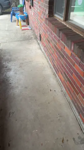 Just fck ya mama huh son 😂😂 Happy Friday yall #boymom #fyp 