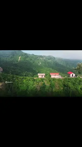 All Deactivated Koree.  Ofline Hoye Zabooo... #fyp #foryou #foryoupage 