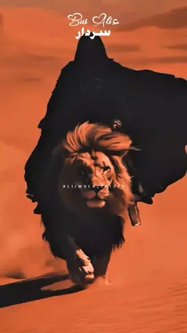 Bus AliءSardar #nadeemsarwernohay_2024 ##alimola141272 #plzunfreezemyaccout🙏