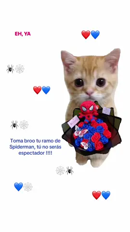 Tomen sus ramos brothers ❤️💙#ramodespiderman🕷🕸 #7denoviembrediadespiderman❤️✨️ #tunoserasexpectador 
