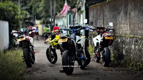 සමහරුනම් කාන්දම් තවත් උන්ට මාංදම් 😮‍💨❕ #whiteteddy #dtracker #trending #fyp #froyou 