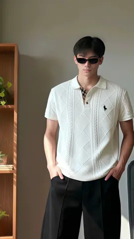 Áo polo nam ABEU chất vải cotton #phodonam 