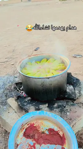 #الجريا #تصويري📸اكسبلوور 😂