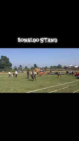 कैलेली जिल्ला घोडाघोडी नगरपालिका वडा नम्बर ४ मा रहेको श्री सिताकुण्ड माध्यमिक विद्यालय मा भइरहेको आधारभूत तहको खेलकुदमा एकजना विजेता भाइले देखाएको Ronaldo stand , 😜#foryou #sudurpaschim #foryoupage #myviralvideo #goviral 