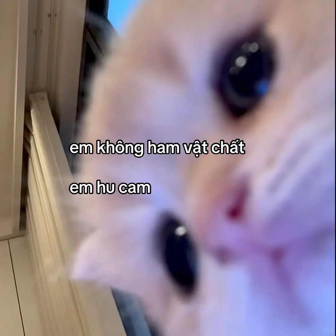 #xuhuong #lovetiktok #fyppppppppppppppppppppppp 