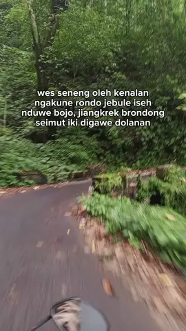 #CapCut #jln #petung kriyono#fyp #tiktok 