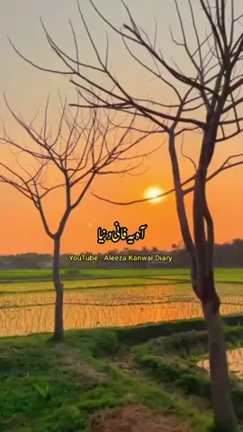 Yh Faani Duniya 🖤  YouTube - Aleeza Kanwal Diary  #aleezakanwaldiary #voiceover #artist #fyp #foryou 